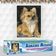 Diamond embroidery (set) Chihuahua