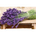 Diamond embroidery (set) Blooming lavender Diamond embroidery (set) Blooming lavender