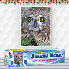 Алмазна вишивка (набір) Сова Алмазна вишивка (набір) Сова