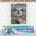 Diamond embroidery (set) Owl