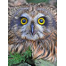 Diamond embroidery (set) Owl Diamond embroidery (set) Owl