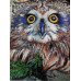 Diamond embroidery (set) Owl Diamond embroidery (set) Owl