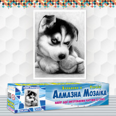 Алмазна вишивка (набір) Грайливий хаскі