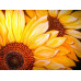 Diamond embroidery (set) Blooming sunflowers