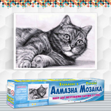 Алмазна вишивка (набір) Кіт - ледар