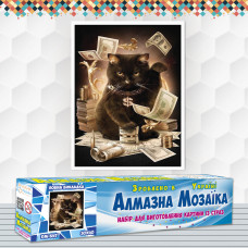 Diamond embroidery (set) Cat and money