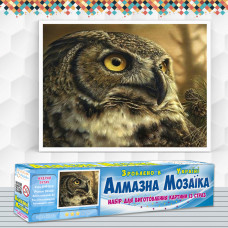 Алмазна вишивка (набір) Мудрий філін