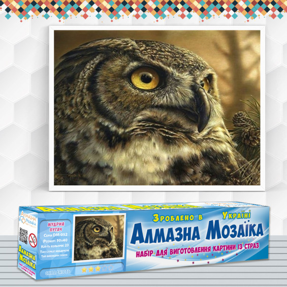 Алмазна вишивка (набір) Мудрий філін