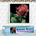 Diamond embroidery (set) scarlet rose