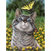 Diamond Embroidery (set) - Cat with a butterfly Diamond Embroidery (set) - Cat with a butterfly