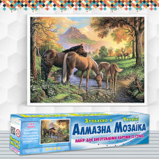 Алмазна вишивка (набір) Сім'я коней