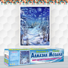 Алмазна вишивка (набір) Зимова ніч